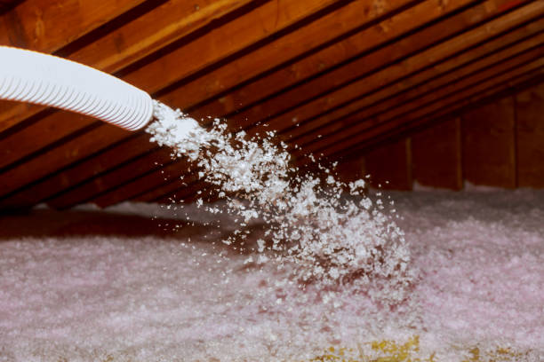Best Soundproof Insulation Installation  in Kayenta, AZ