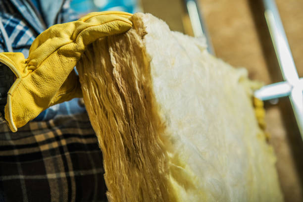 Best Insulation Contractors for Homes  in Kayenta, AZ