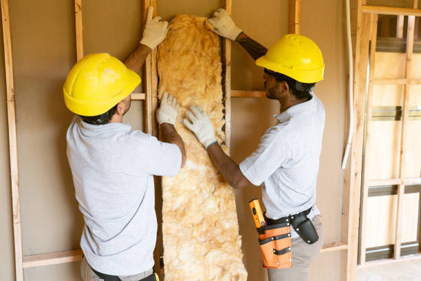 Best Affordable Insulation Services  in Kayenta, AZ