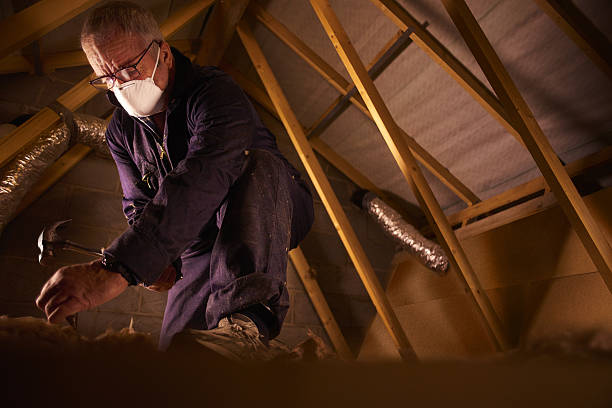 Best Local Insulation Services  in Kayenta, AZ
